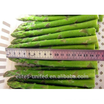 fresh frozen green asparagus